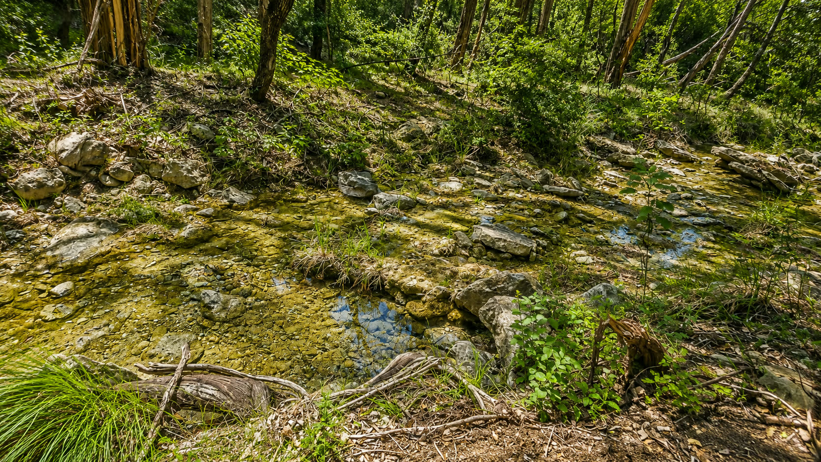 Stone creek bed beneath mature trees at 8211 Valerio