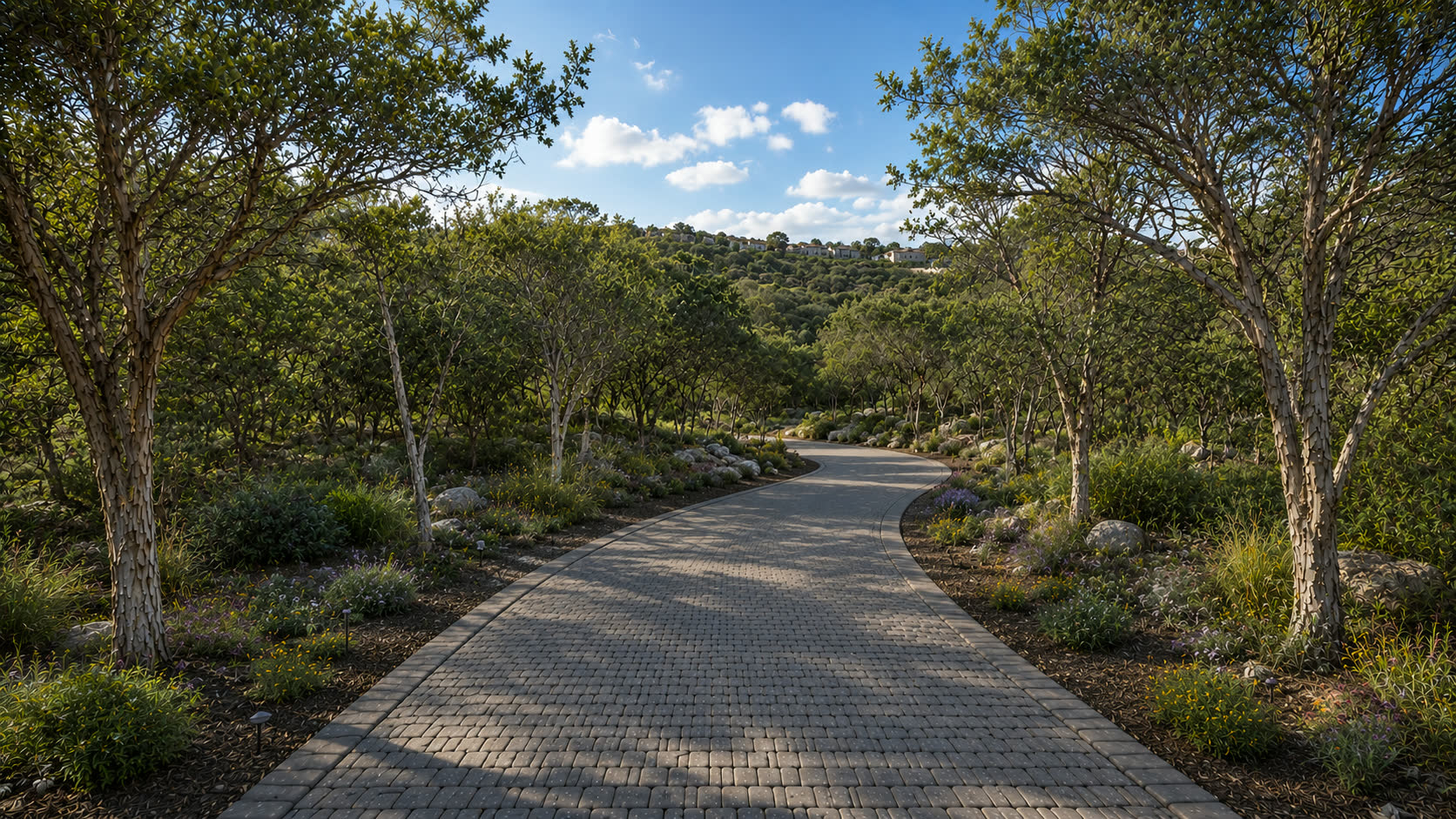 Landscaped private drive through the wooded homesite at 8211 Valerio