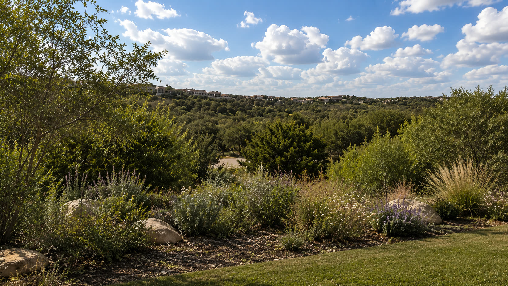 View across the wooded three-acre homesite at 8211 Valerio