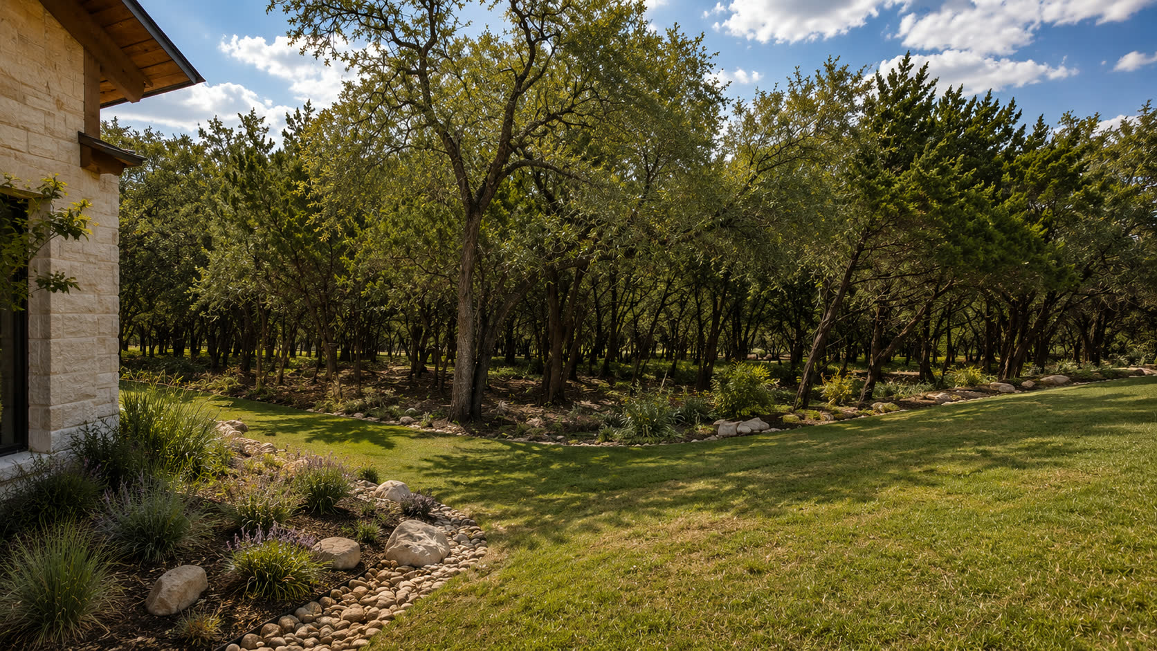 Expansive wooded grounds beside 8211 Valerio